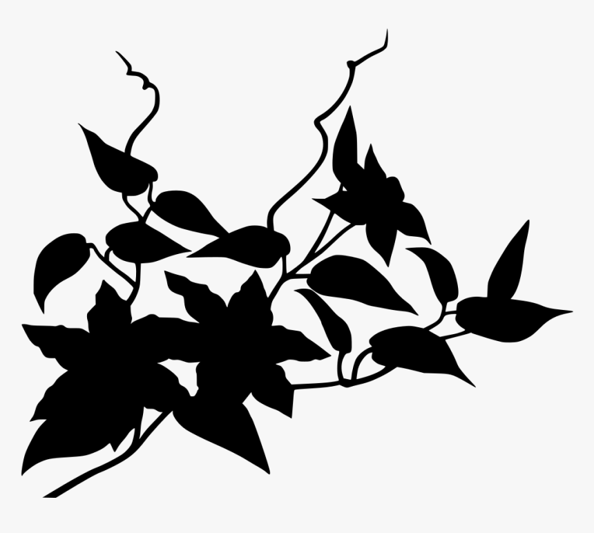 Vine, HD Png Download