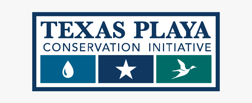 Texas A&m University, HD Png Download