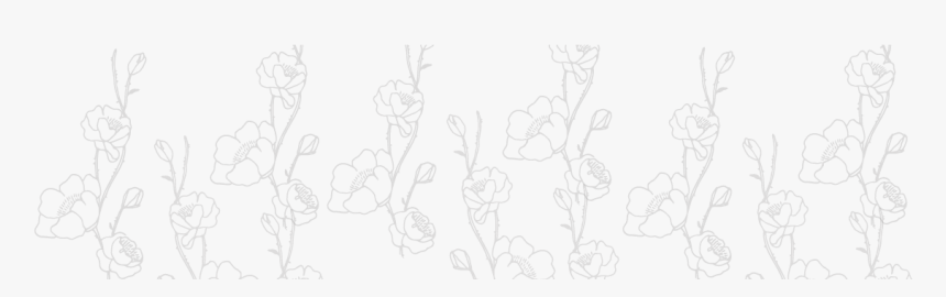 Sketch, HD Png Download