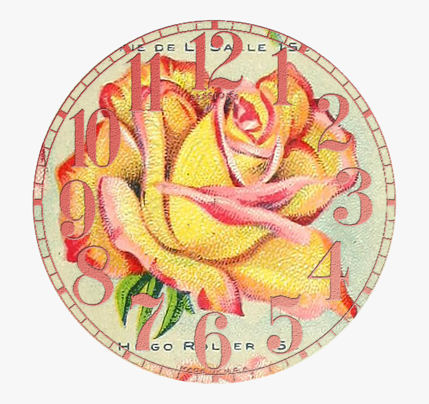 Wings Of Whimsy - Hybrid Tea Rose, HD Png Download