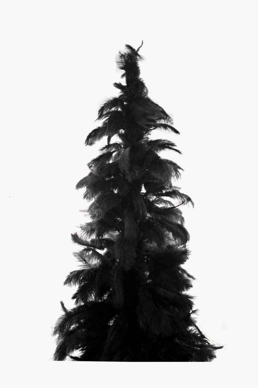 Feather Christmas Tree, HD Png Download