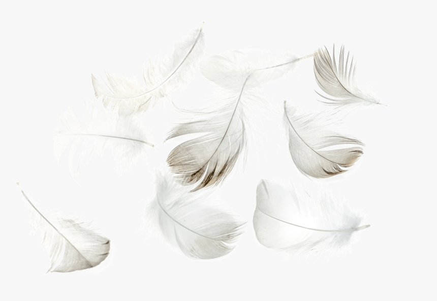 Title - Illustration, HD Png Download