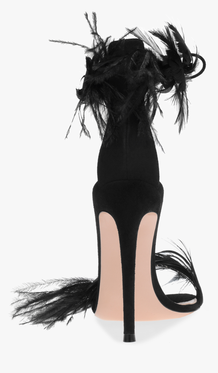 Black Feathers Png, Transparent Png
