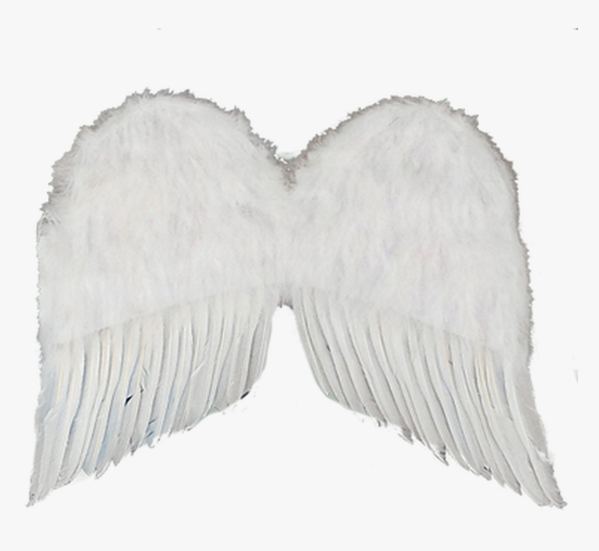 Black Feathers Png, Transparent Png