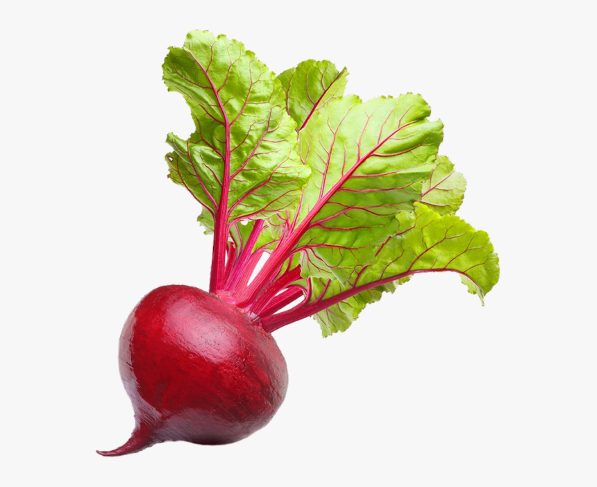Beet Vegetable, HD Png Download