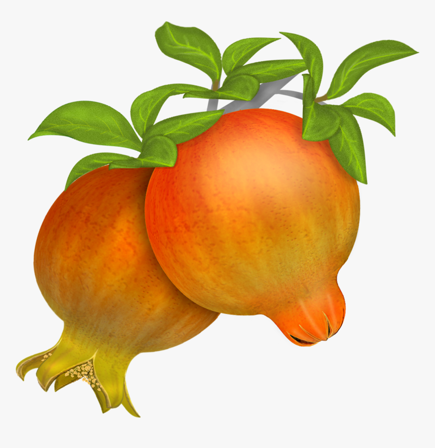 Pomegranate In Vector Clipart , Png Download - Pomegranate, Transparent Png