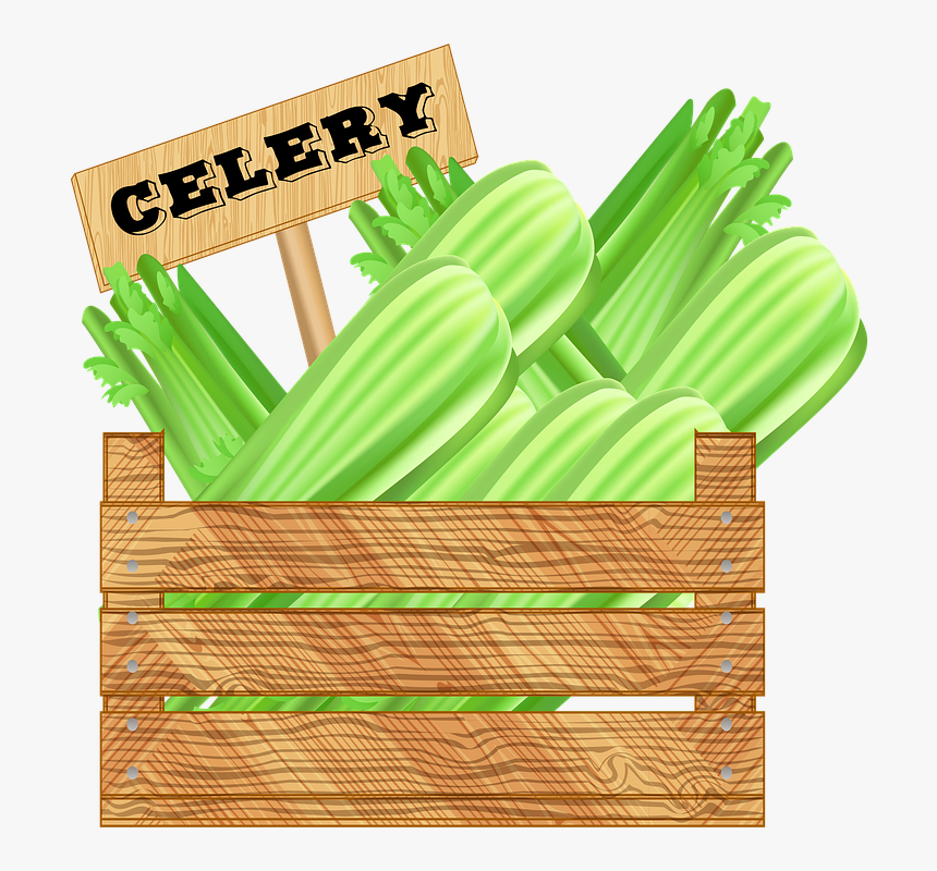 Cucumber, HD Png Download