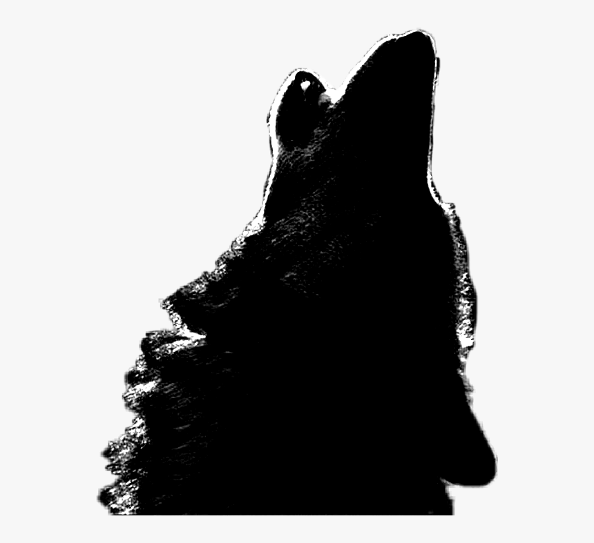 Aullido Png - Hd - Dog, Transparent Png