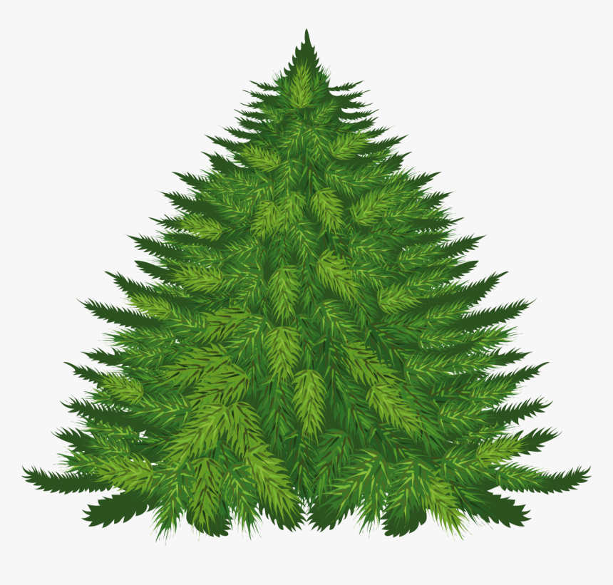 Fir Tree Png Image - Transparent Christmas Tree Cartoon, Png Download