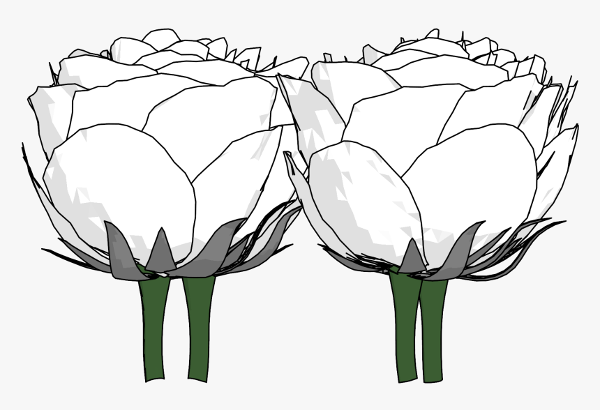Tulip, HD Png Download