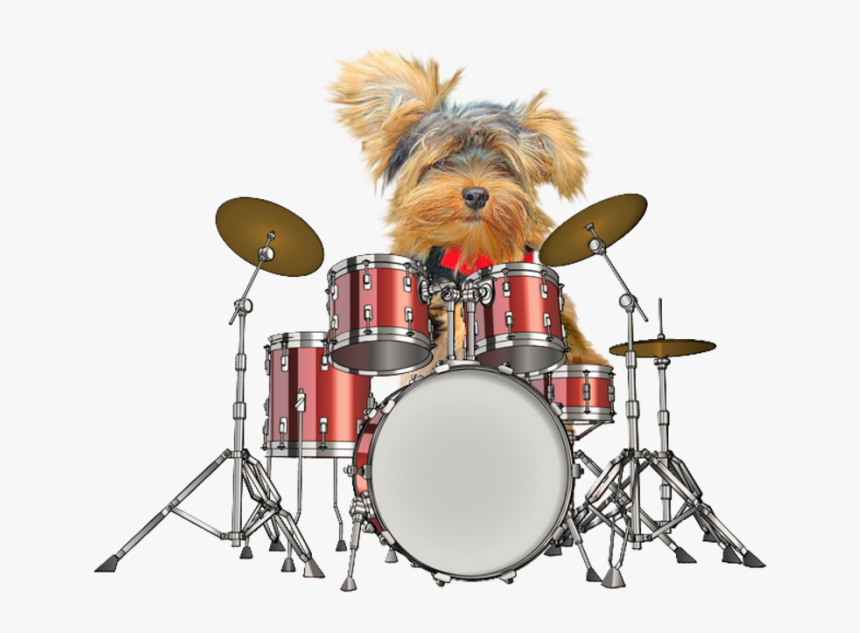 Transparent Bass Drum Clipart - Drums Png, Png Download