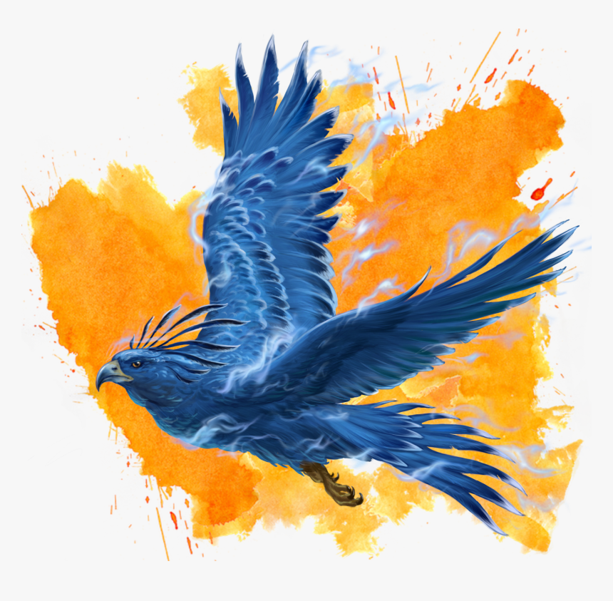 Accipitridae, HD Png Download