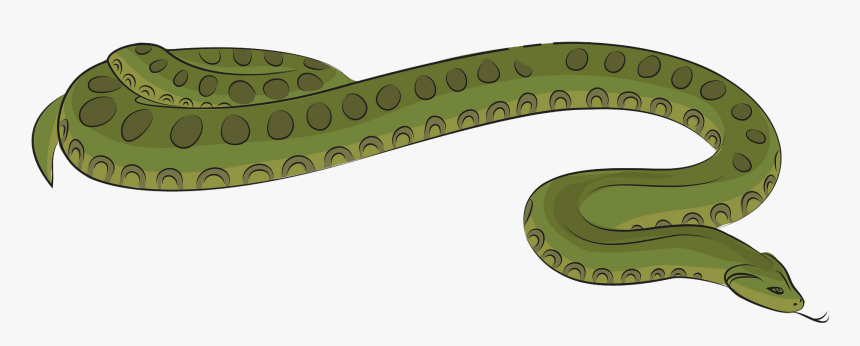 Plains Gartersnake, HD Png Download