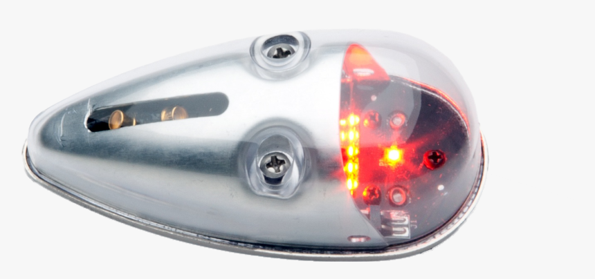 Fish, HD Png Download