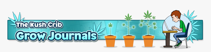 Flowerpot, HD Png Download