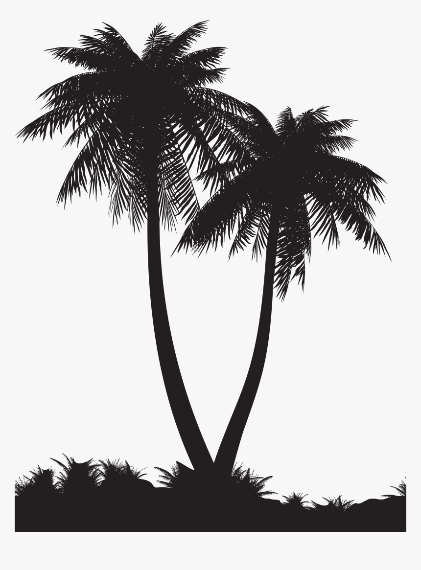 Palm Tree Silhouette Png , Png Download - Silhouette Of Palm Tree Png, Transparent Png