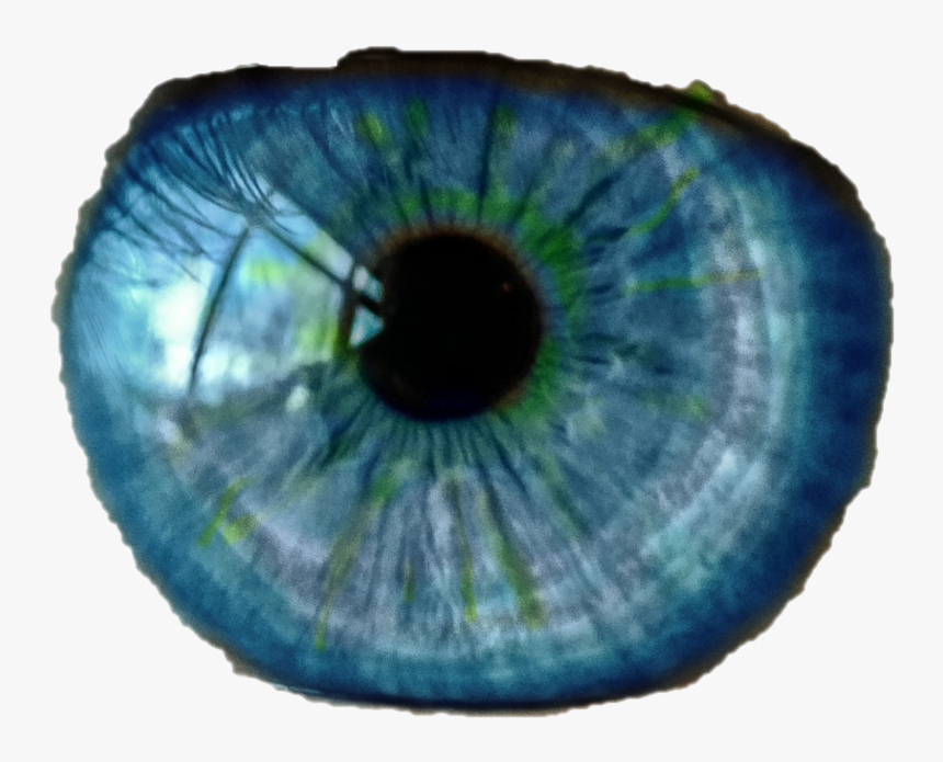 A Statement And The Sound, HD Png Download