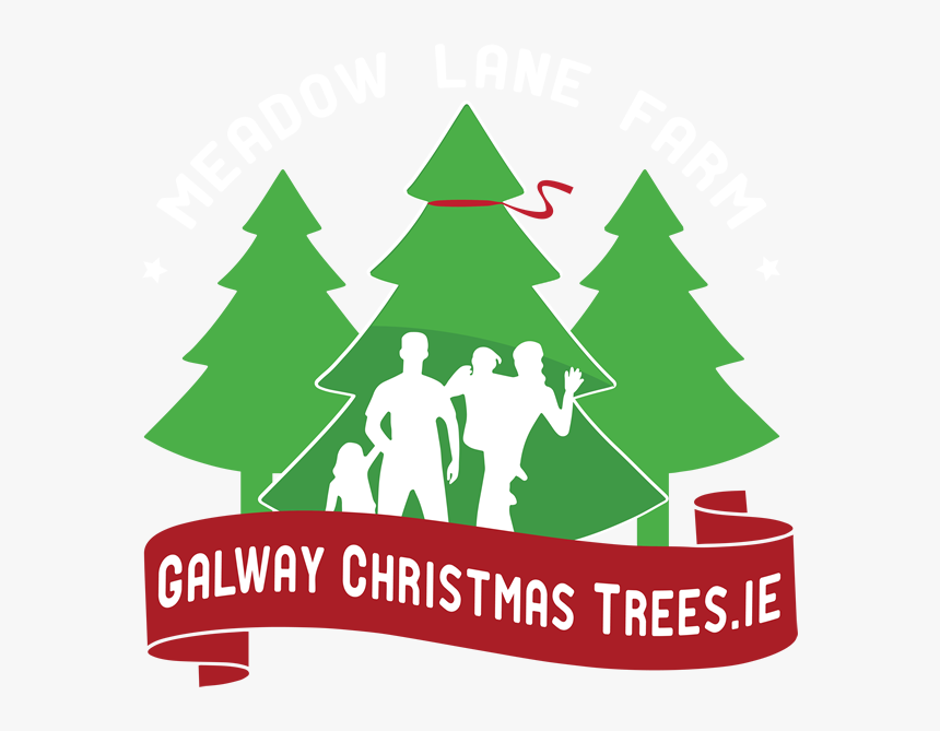 Galway Christmas Trees - Making Christmas Cards, HD Png Download