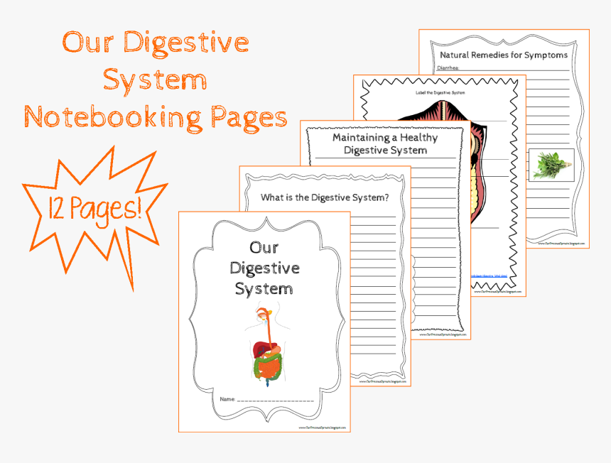 Diagram, HD Png Download