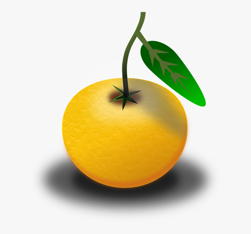 Clipart Of Pomelo, HD Png Download