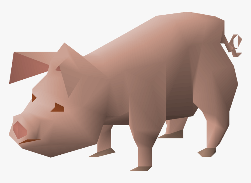 Carnivore, HD Png Download