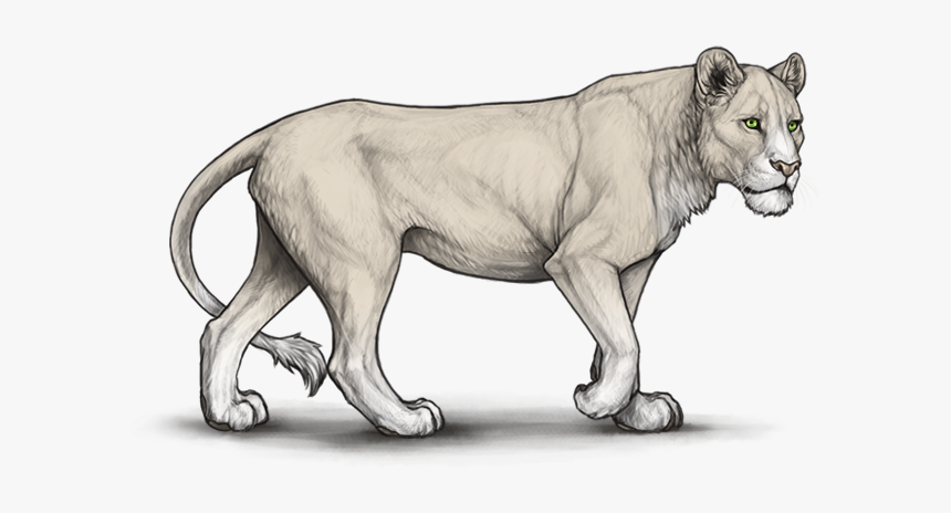 Ny7lsq9 - Heavenly Serenity Lioden, HD Png Download