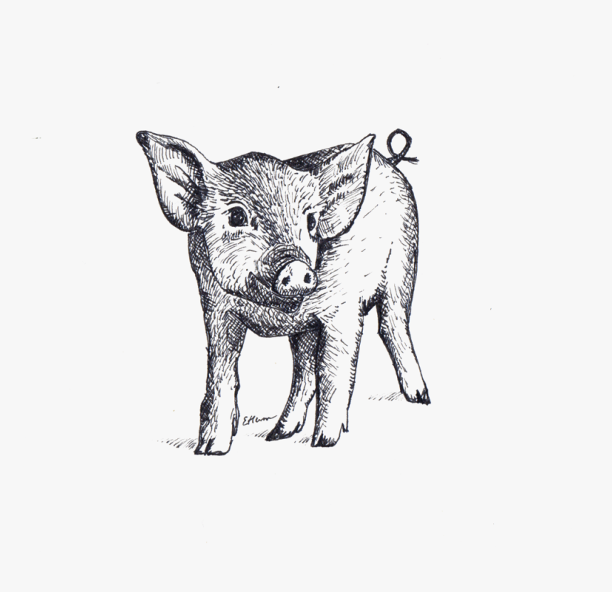 Piglet, HD Png Download