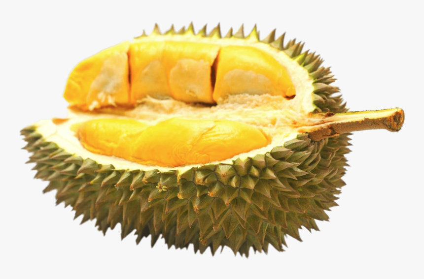Half Durian Fruit - Durian Png, Transparent Png