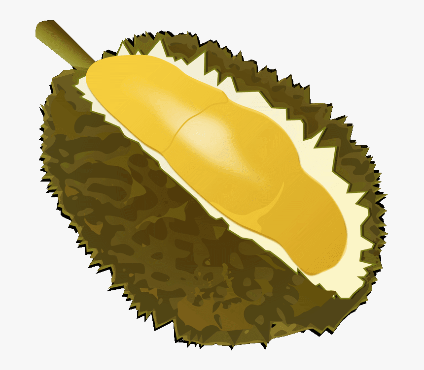 Fruits Transparent Durian - Transparent Background Durian Icon, HD Png Download