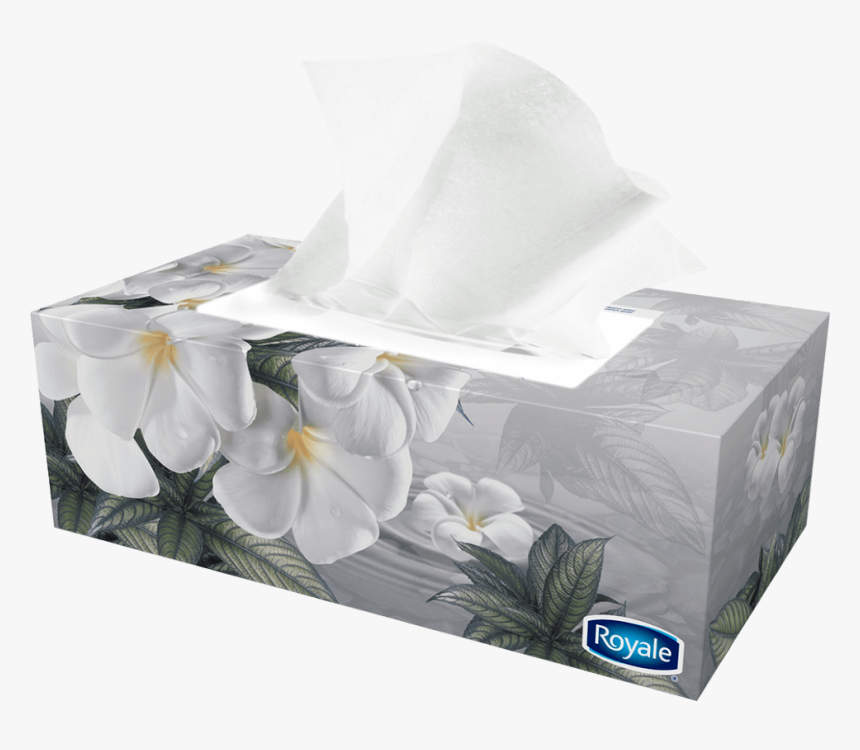 Transparent Tissue Clipart - Facial Tissue, HD Png Download