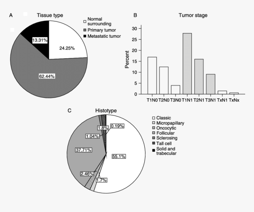 Diagram, HD Png Download