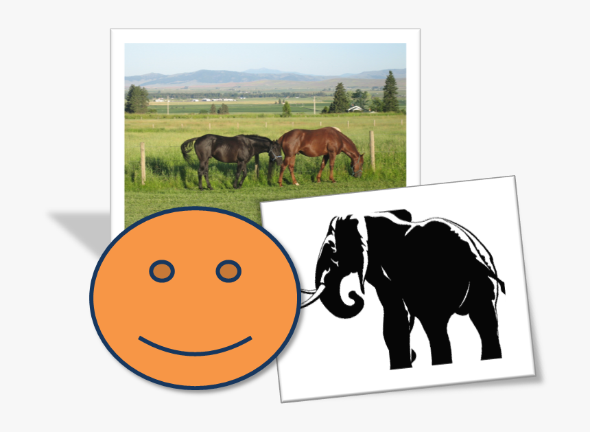 Fabulous Images On Your Web Site - Mane, HD Png Download