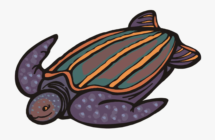 Transparent Turtle Clipart Png - Leatherback Sea Turtles Clipart, Png Download