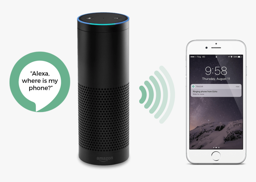 Trackr - Alexa Trackr, HD Png Download
