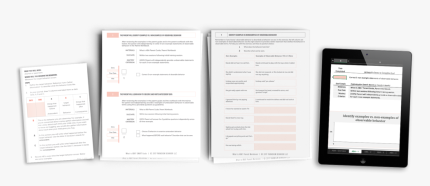 Roadmap-products Inside Aba, HD Png Download