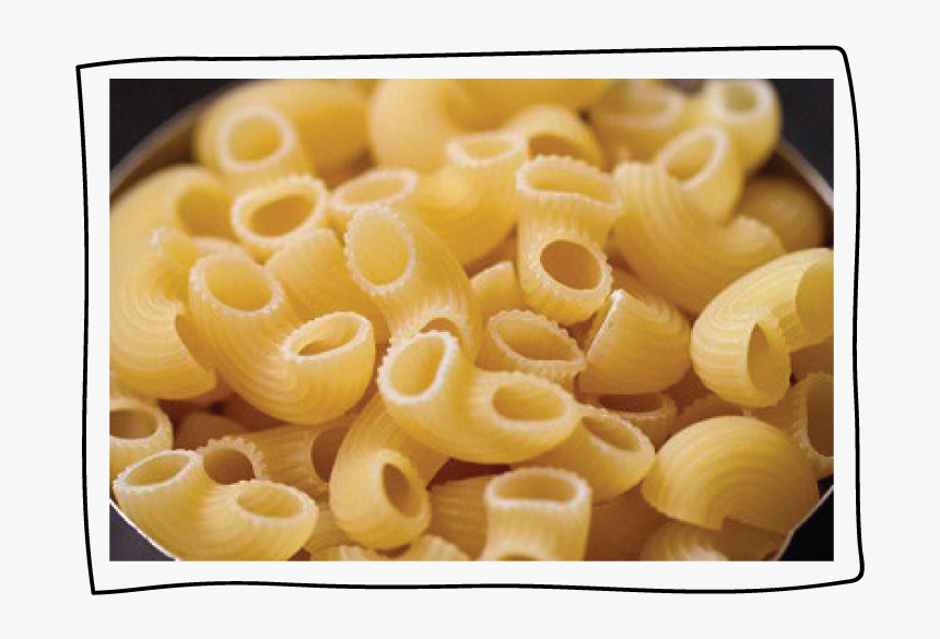 Macaroni, HD Png Download