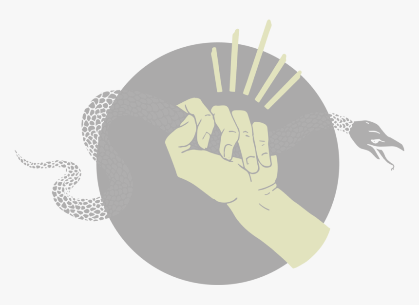 Hand Grabbing Snake 1@4x - Illustration, HD Png Download