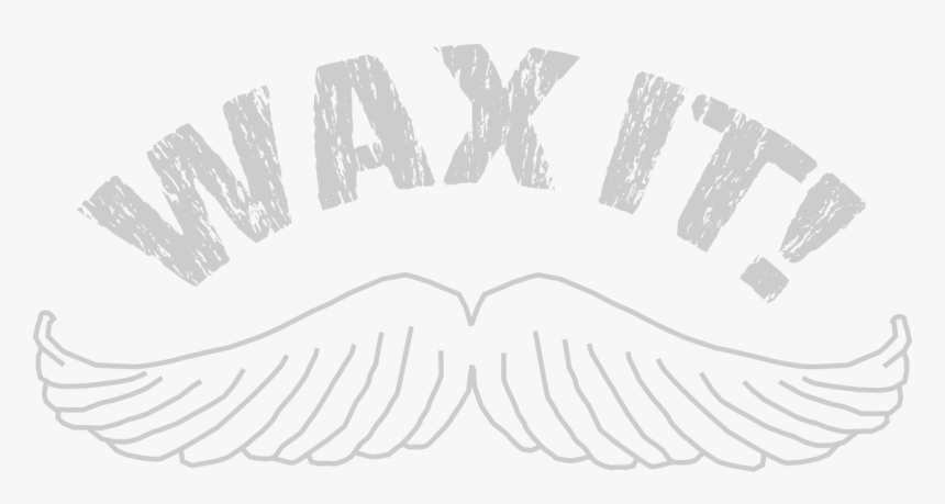 Picture - Eyelash Extensions, HD Png Download