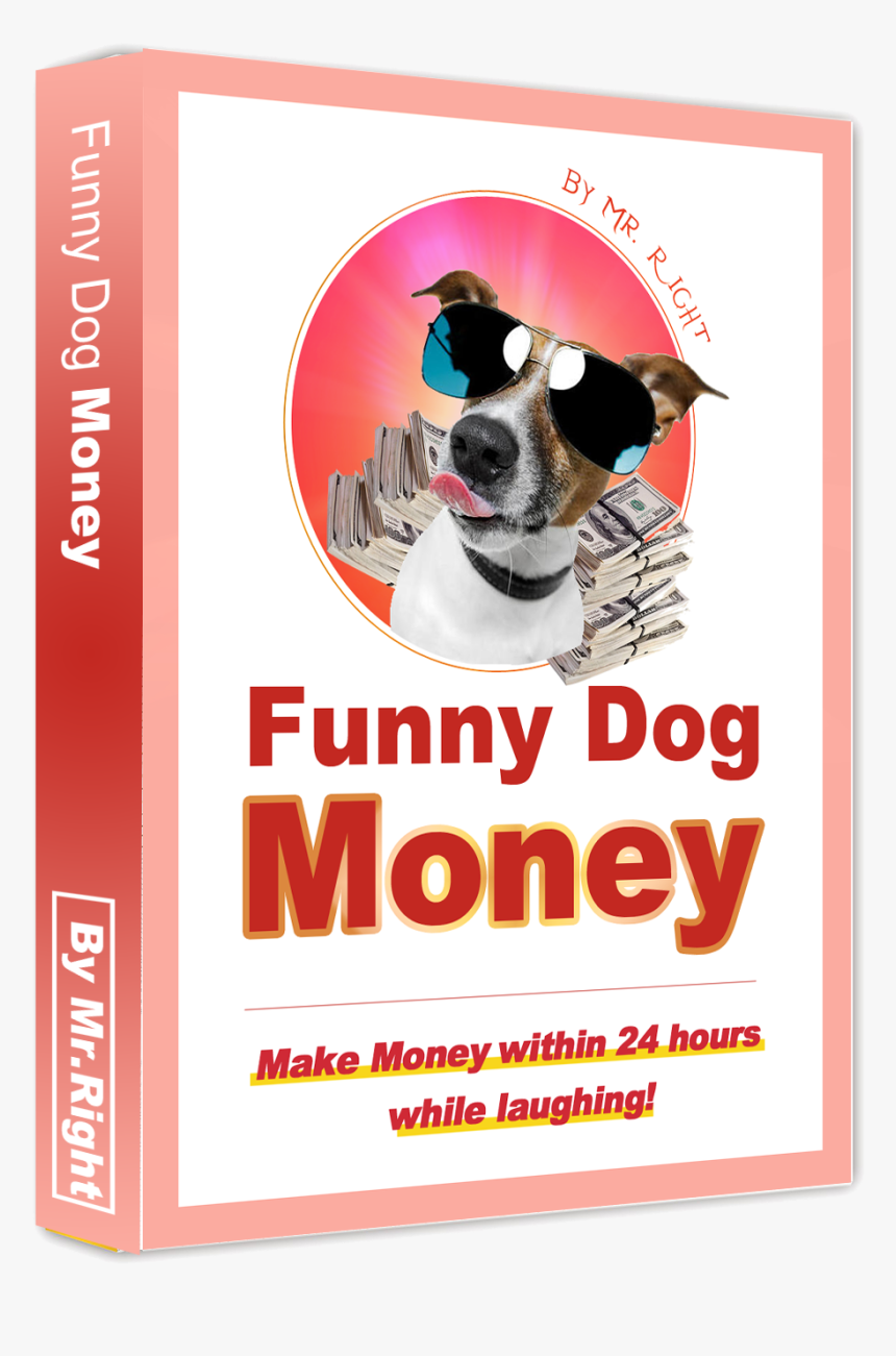 Boston Terrier, HD Png Download