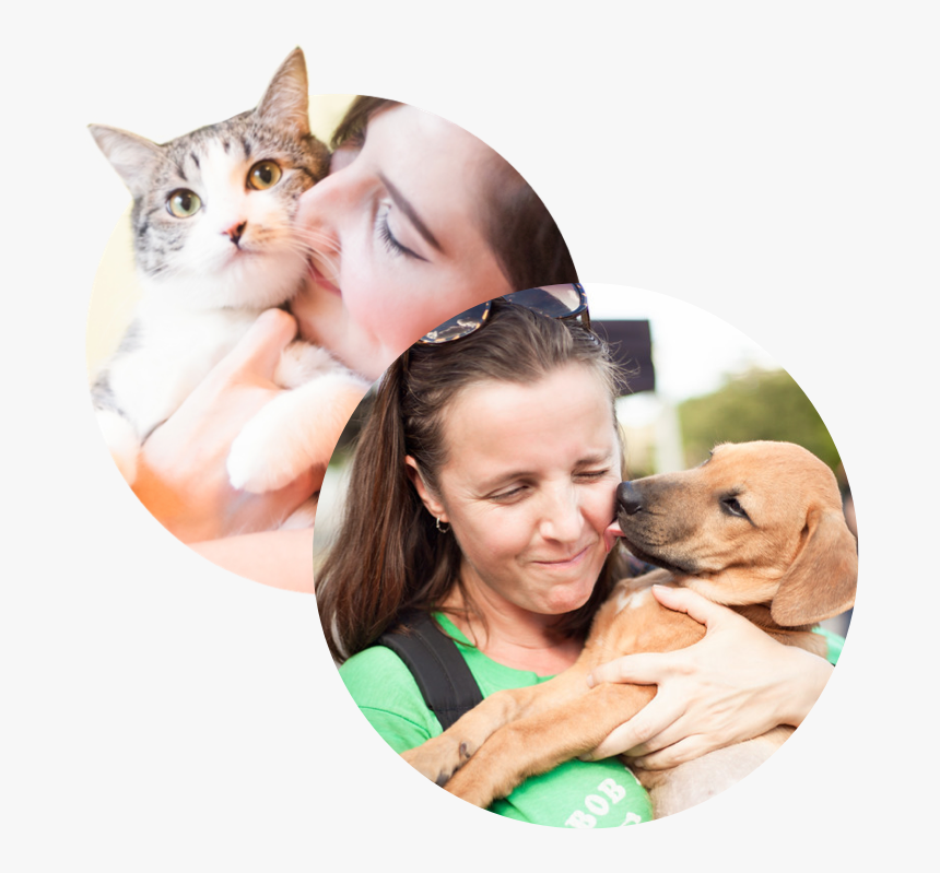 Homepage-img - Squitten, HD Png Download