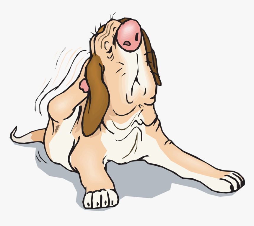 To Enter Please Pet The Dog - Barn, HD Png Download