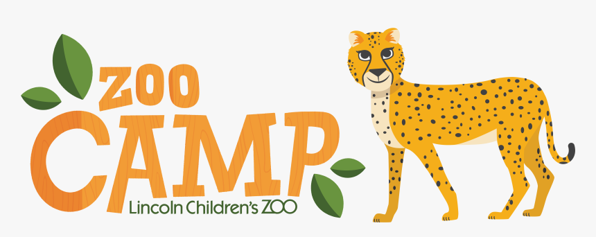 Cheetah, HD Png Download