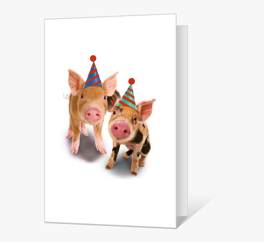 Domestic Pig, HD Png Download
