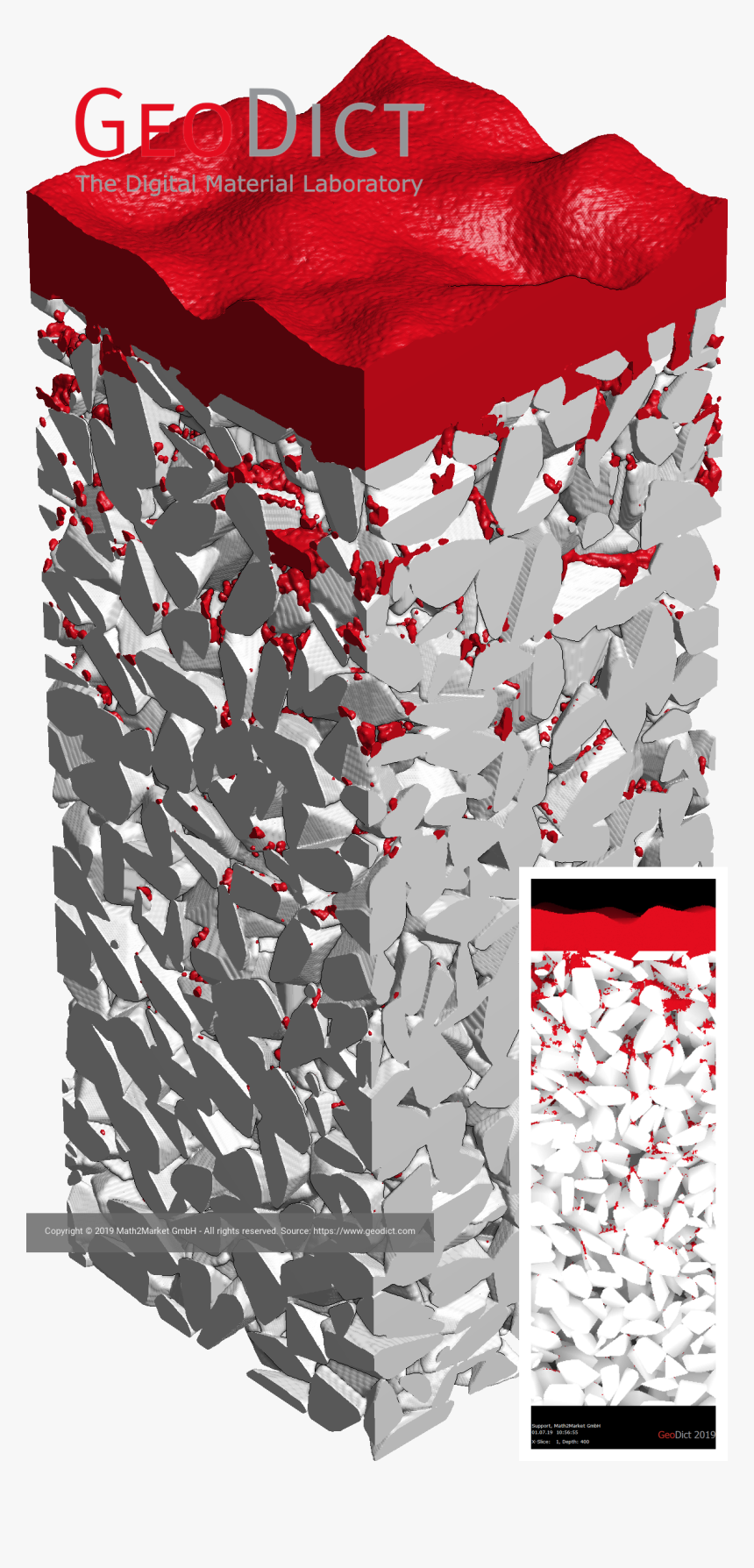 Floral Design, HD Png Download