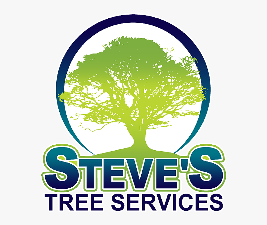 Steve S Tree Service - Oak Tree Silhouette, HD Png Download