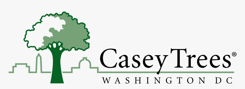 Casey Trees, HD Png Download