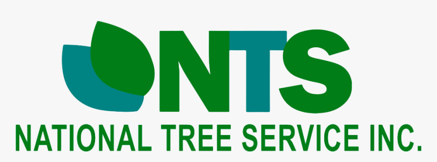 Nts National Tree Service Inc - Graphic Design, HD Png Download