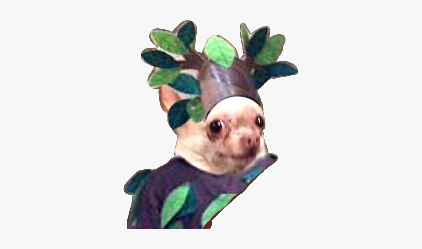 #ol# - Meme Sobre El Trabajo, HD Png Download