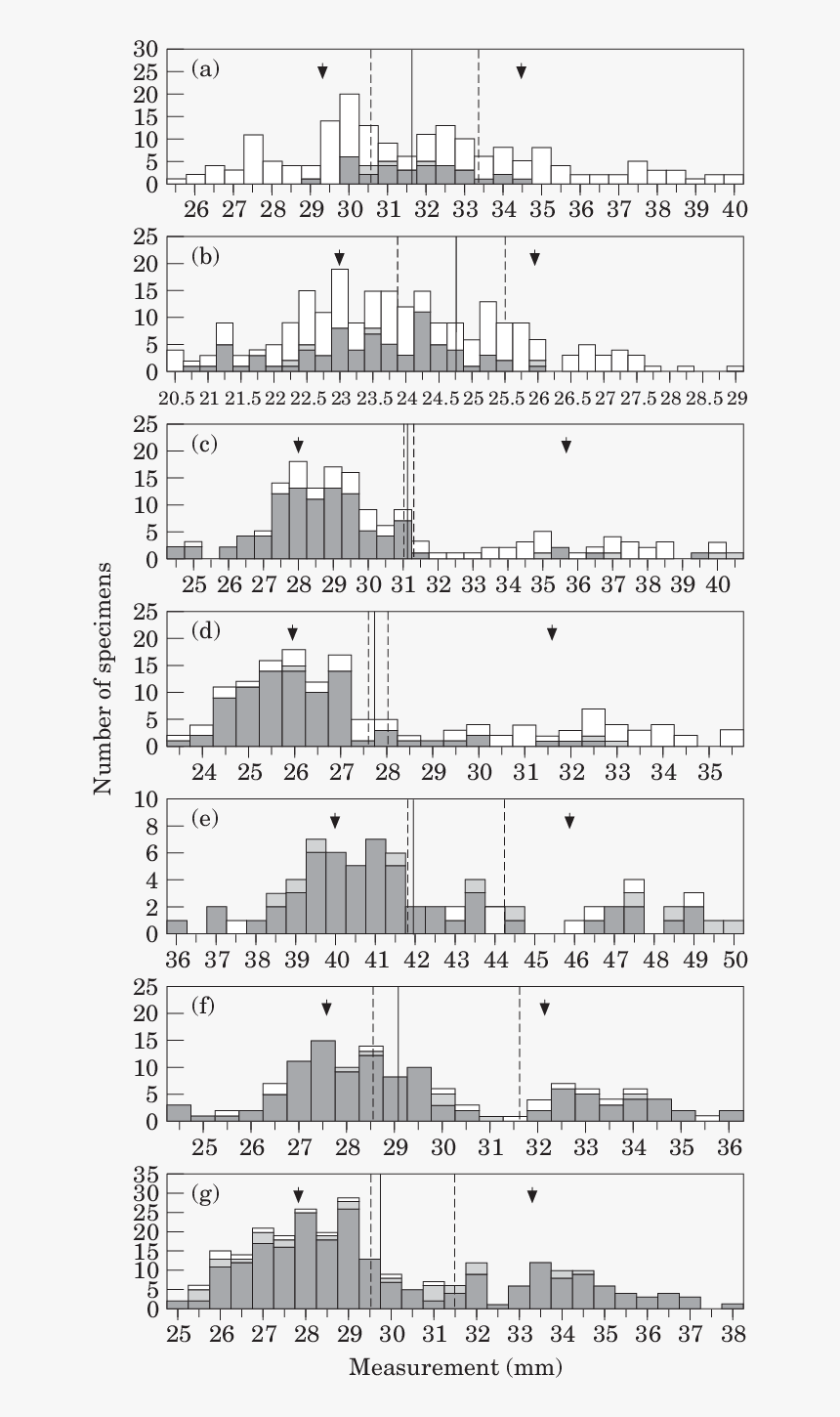 Diagram, HD Png Download