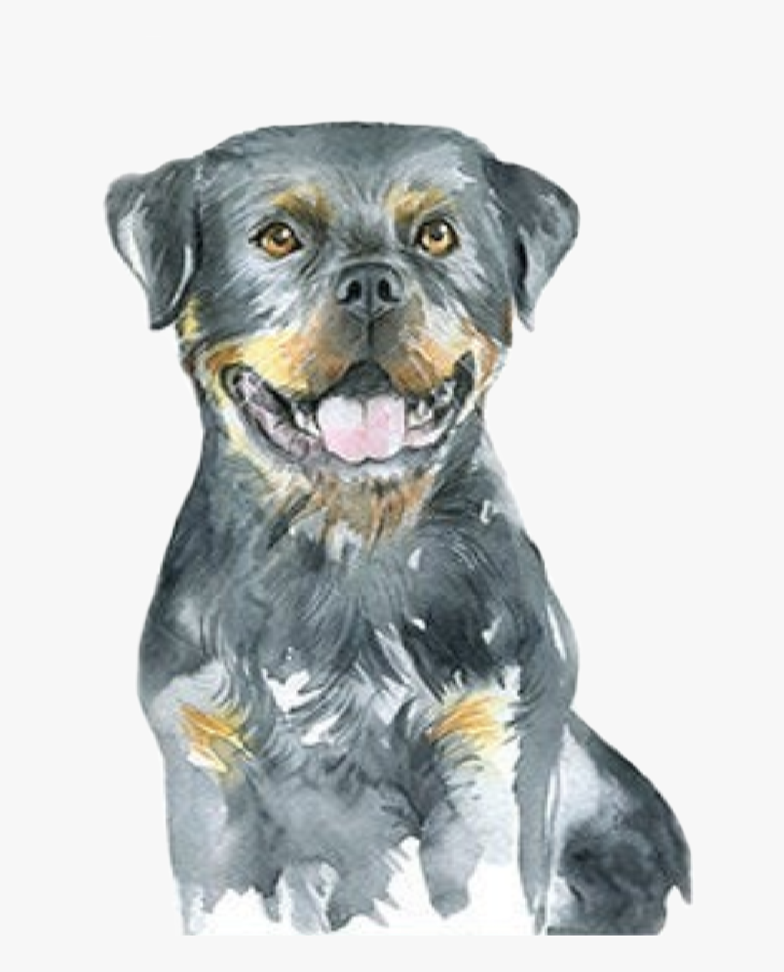 #watercolor #puppy #dog #rottweiler #babyanimals #farmanimals, HD Png Download